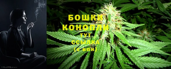 первитин Лабытнанги