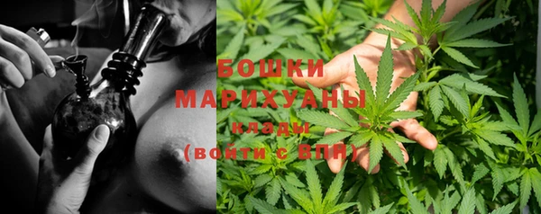 скорость Ладушкин