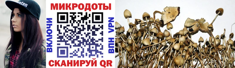 Галлюциногенные грибы Psilocybine cubensis  Купить где  Амурск 